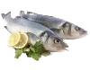 Poisson