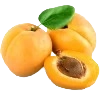 abricot