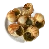 Escargot